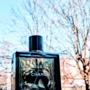 Bleu De Chanel Chanel Cologne A Fragrance For Men 2010
