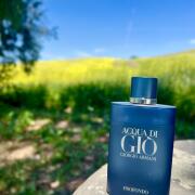 Acqua di Giò Profondo Giorgio Armani cologne - a fragrance