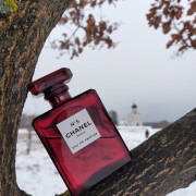 Chanel No 5 Eau de Parfum Red Edition Chanel perfume - a fragrance for ...