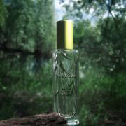 ジョーマローン ウィローアンドアンバー 限定品】ジョーマローン ウィロー＆アンバー コロン(WILLOW