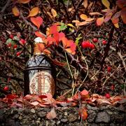 Photo by Маривиктори