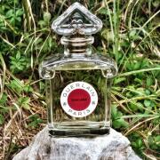 Samsara Eau de Toilette Guerlain perfume - a fragrance for