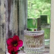 Jimmy choo illicit discount flower купить в леьуаль