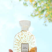 Photo by rachmanabraham