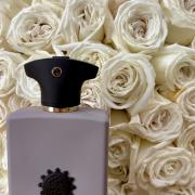 Opus VII – Reckless Leather Amouage perfume - a fragrance