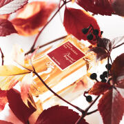 Photo by Sophisticated_DLo