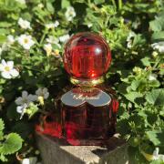 Photo by DefyingGravity