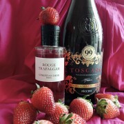 Rouge Trafalgar Dior аромат - аромат для жінок 2020