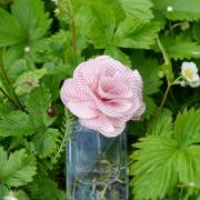 poll wandelen talent Flower Rose Tommy Hilfiger perfume - a fragrance for women 2014