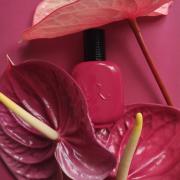 Bois Fuchsia Les Parfums de Rosine perfume - a fragrance for