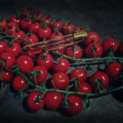 Photo by Engel desTodes