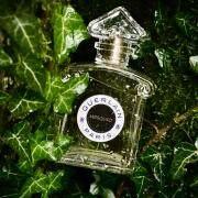Mitsouko Eau de Toilette Guerlain perfume - a fragrance for