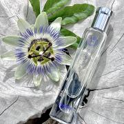 Hermessence Iris Ukiyoé Hermès perfume - a fragrance for