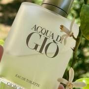 Acqua di Gio Giorgio Armani cologne - a fragrance for men 1996