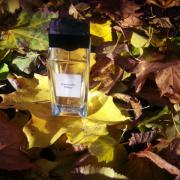 Immortelle Tribal Givenchy perfume - a fragrance for women and men 2015