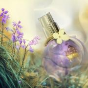 Mon Éclat - Éclat d'Arpège by Lanvin » Reviews & Perfume Facts