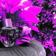 Photo by Catsylvania