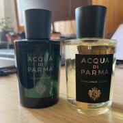 Colonia Club Acqua di Parma perfume - a fragrance for women