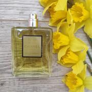 Chanel No 19 Poudre Chanel perfume - a fragrance for women 2011