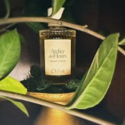 Cedrus Intense Chloé perfume - a novo fragrância Feminino 2025