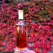 Giorgio beverly 2025 hills red fragrantica