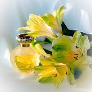 Photo by ЮлияЛето