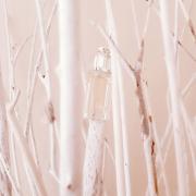 Photo by Марта Весна