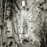 Photo by Ночной дождь