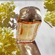 lalique living fragrantica