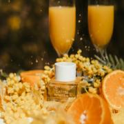 Latte Mimosa New Notes perfume - a new fragrance for women and men 