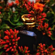 Trouble Boucheron аромат — аромат для женщин 2004