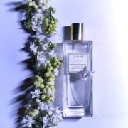 Innocent White Lilac Oriflame perfume - a fragrance for women 2016