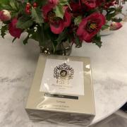 Photo by Hasan AlTarrah