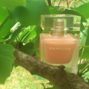 narciso eau neroli ambree fragrantica