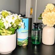 Pacific Chill Louis Vuitton perfume - a fragrance for women