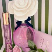 In Full Bloom Kate Spade perfume - a fragrance for women 2018