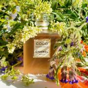 Coco Mademoiselle L&#039;Eau Privée Chanel perfume - a fragrance for  women 2020