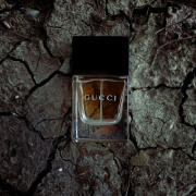 香水(男性用) GUCCI Pour Homme 100ml Gucci pour Homme (2003) Gucci 古龙水- 一款2003年男用香水