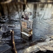 Chanel No 5 Eau Premiere (2015) Chanel 香水- 一款2015年女用香水