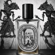 Eau Lente Eau de Toilette Diptyque perfume - a fragrance for women