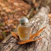 Photo by Лейка@@@