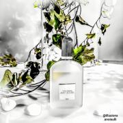 Grey Vetiver Tom Ford cologne - a fragrance for men 2009