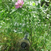 Photo by Vibia Sabina