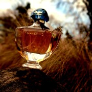 Shalimar Eau de Toilette Guerlain 香水- 一款1925年女用香水