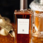 ambre sultan fragrantica