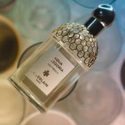 Aqua Allegoria Herba Fresca Guerlain perfume - a fragrance for women ...