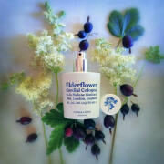 Photo by Engel desTodes