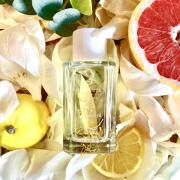 Mbucuruyá Fueguia 1833 perfumy - to perfumy dla kobiet i