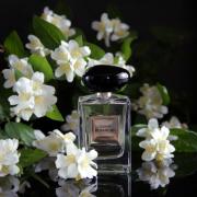 Armani prive jasmin online kusamono fragrantica