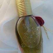 55 Discontinued perfumes & colognes now on Scentmatchers.com ideas